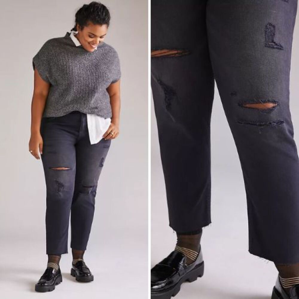 NWT Anthropologie Pilcro The Heritage Boyfriend Jeans | 20W
